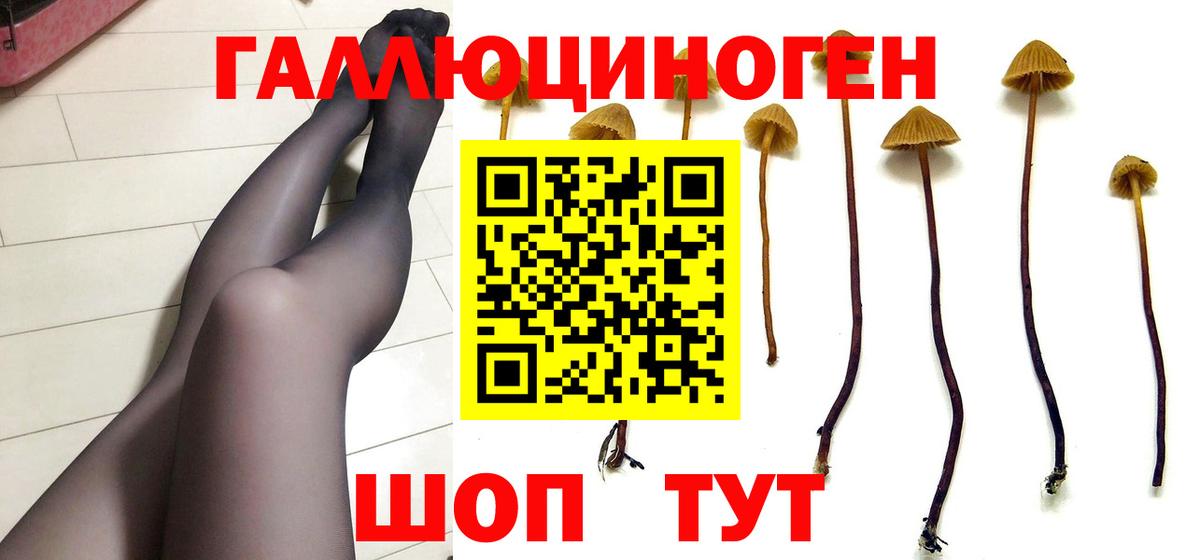 Псилоцибиновые грибы Psilocybine cubensis  Вход с VPN  магазин    Псилоцибиновые грибы GOLDEN TEACHER  Арзамас 